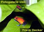 Zur Fotogalerie von Martin Haberkern